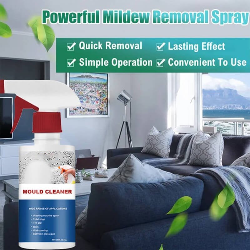 Qeuxv Mould & Mildew Removing Foam Spray