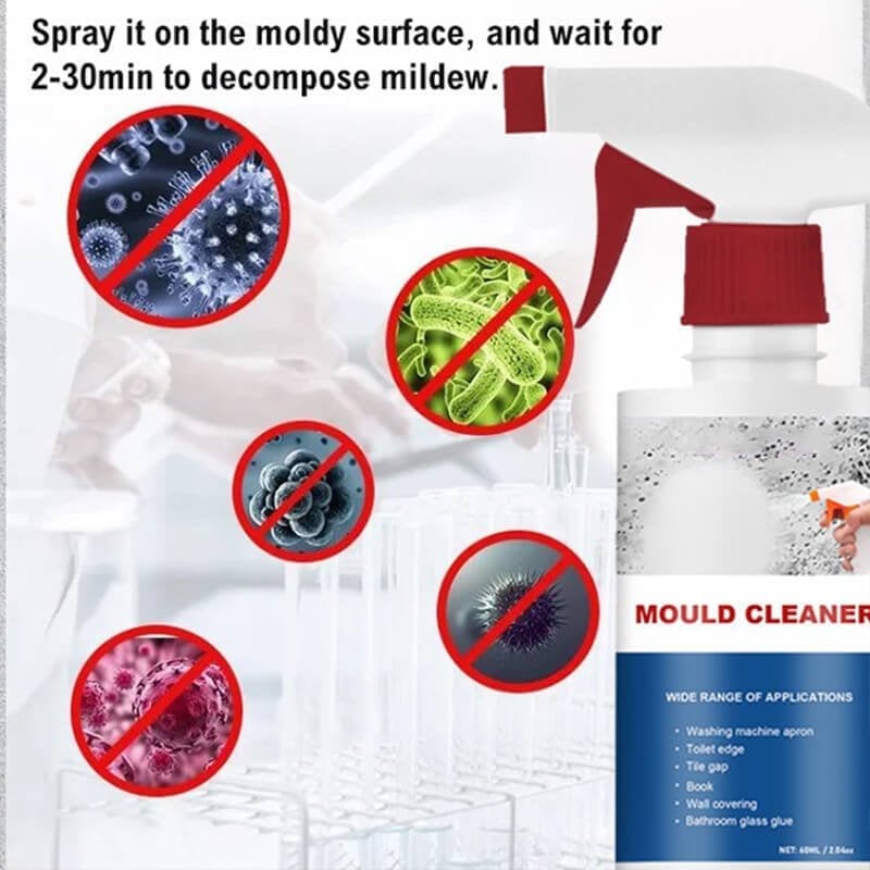 Qeuxv Mould & Mildew Removing Foam Spray