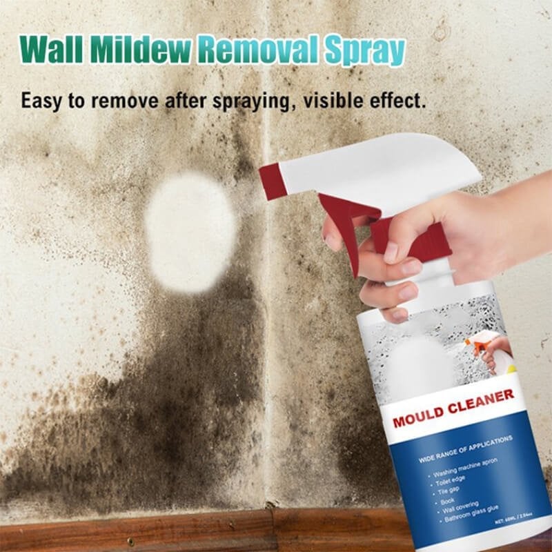 Qeuxv Mould & Mildew Removing Foam Spray